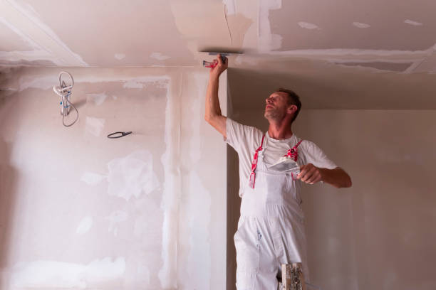 Reliable Grandwood Park, IL Painting Solutions